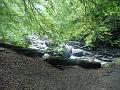 Araing_2009 024